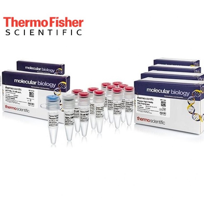 Scientific™ Phusion™ High-Fidelity DNA dNTP Mix ve PCR Master Mix (with HF-GC Buffers) PCR Kits | AntTeknik.com