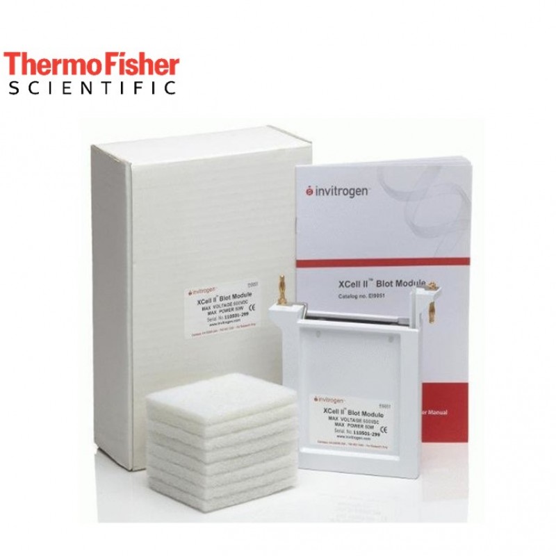 Western Blot Wet Transfer Device Invitrogen™ XCell II™ Blot Module
